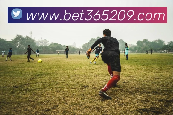 bet365中国官网APP 封面图